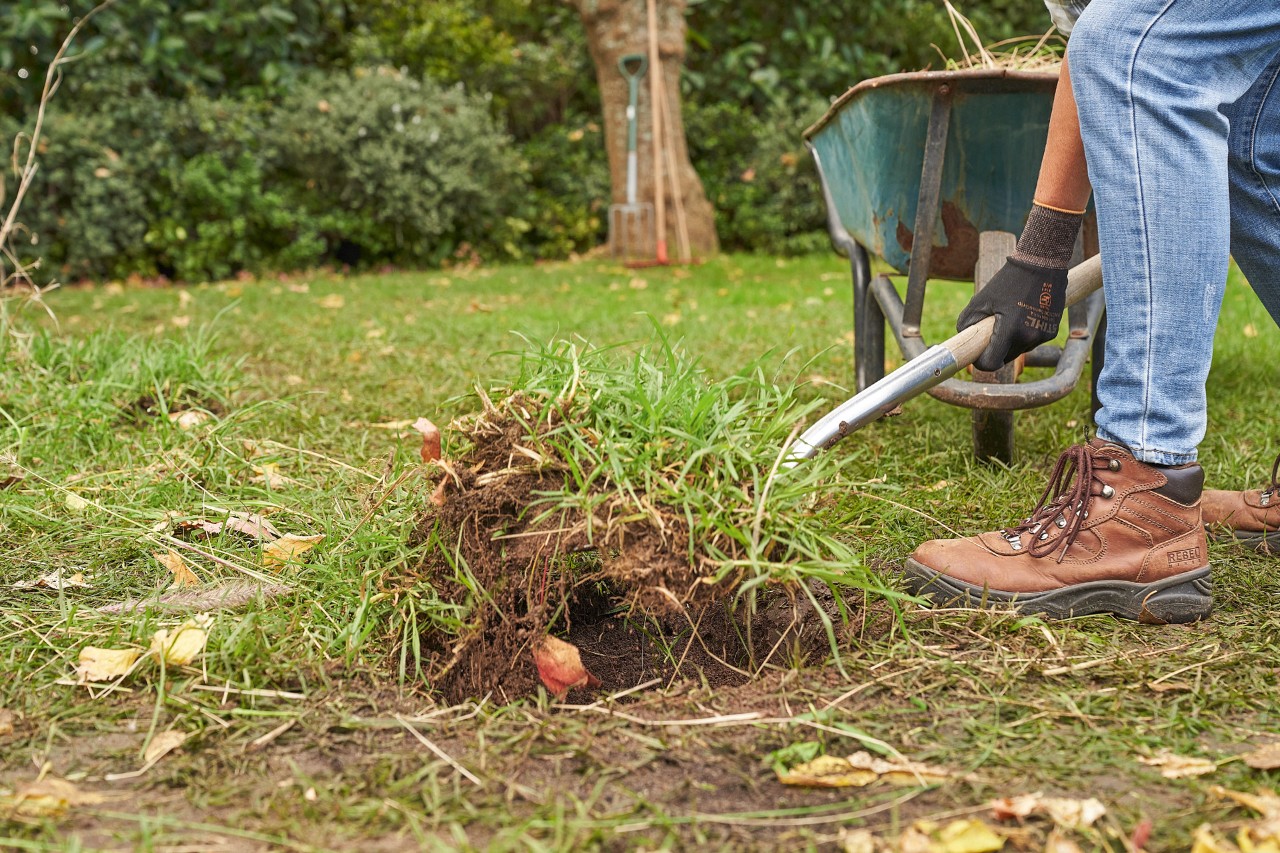Una persona retira el césped con una pala en el jardín para plantar un seto