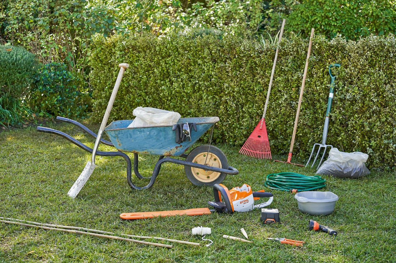 Herramientas para plantar setos, como el cortasetos de batería STIHL HSA 56 y las tijeras de jardinero STIHL PG 10