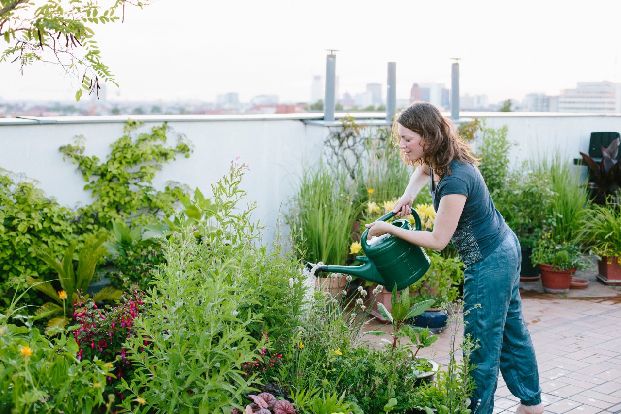 Una mujer riega plantas en una terraza en la azotea