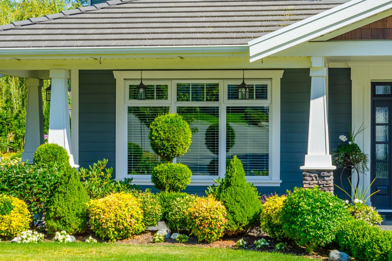 Atractivo jardín con plantas y arbustos con un corte ornamental 
