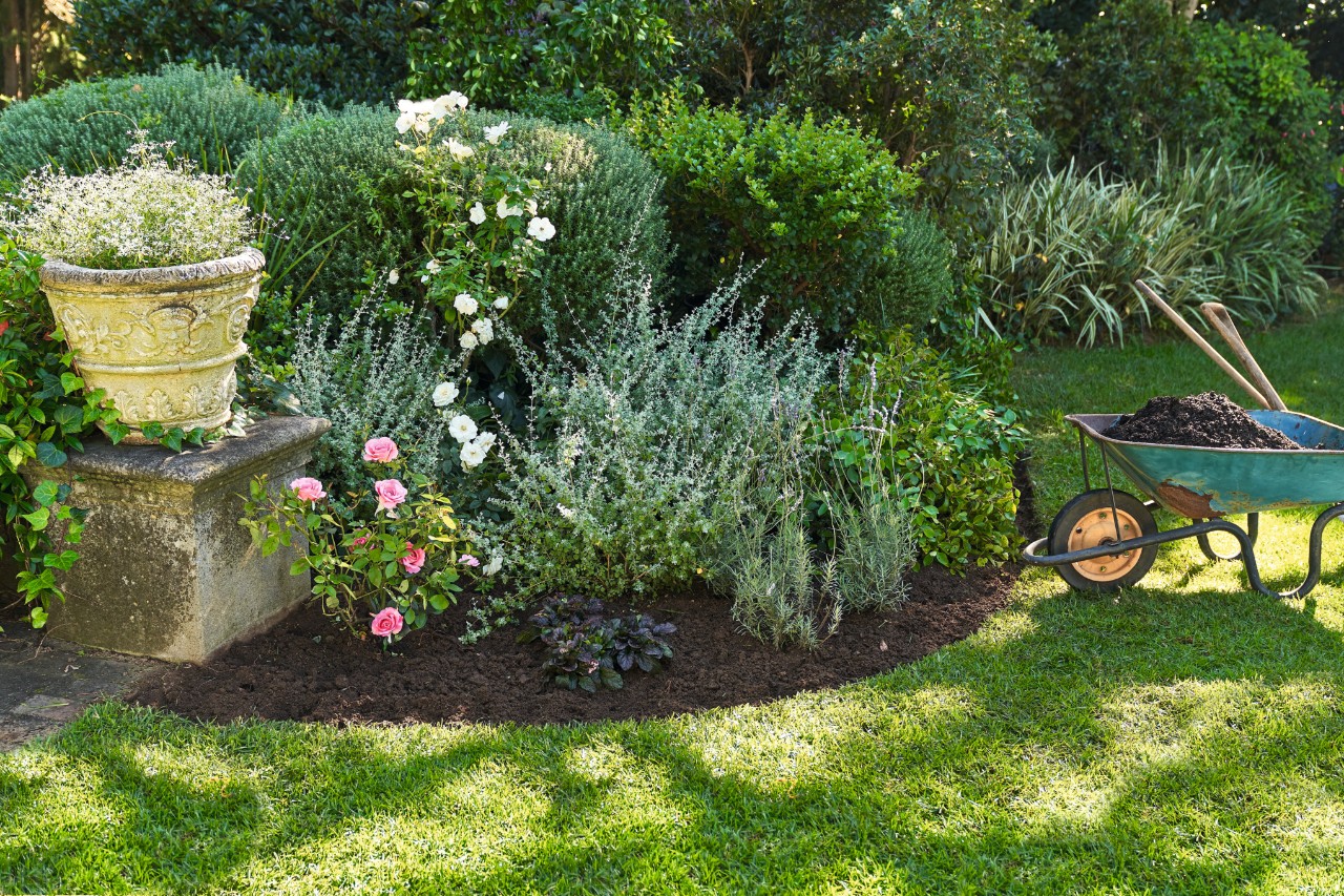 Arriates con plantas de jardín que necesitan poca agua, a su lado una carretilla con tierra y herramientas para el jardín  
