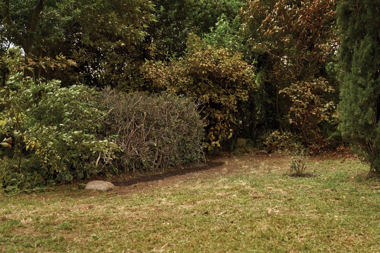 Un jardín ordenado con el césped, los arbustos y los árboles recortados, el caso opuesto a un jardín descuidado.