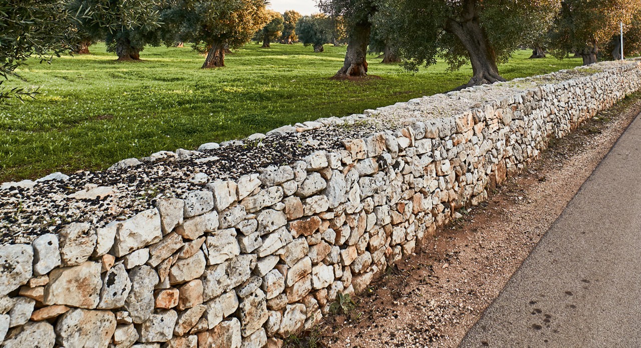 Una pared de piedra seca adecuada como hábitat de las abejas separa una carretera de una zona verde con árboles.