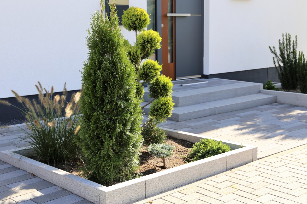 Suelo de un jardín de atractivo diseño, bordeado por losas de hormigón 