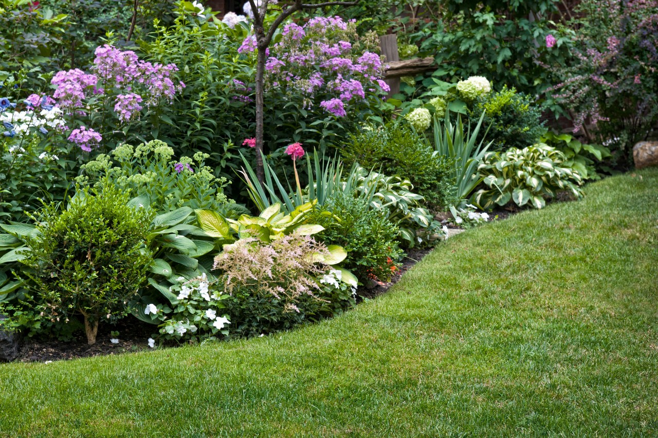 Atractivo jardín en flor con un borde de césped circular