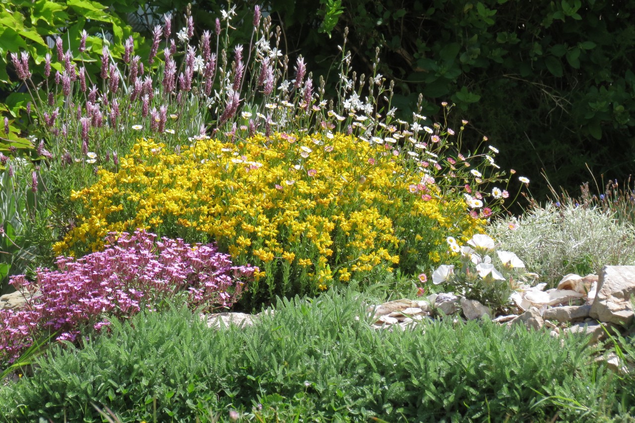 Jardín de estilo mediterráneo con flores y plantas en flor