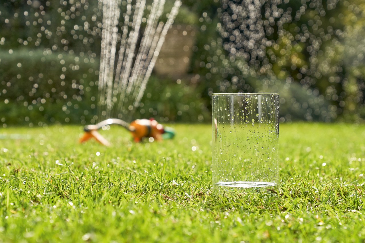 El agua se recoge en una jarra que sale de un aspersor de césped en el fondo