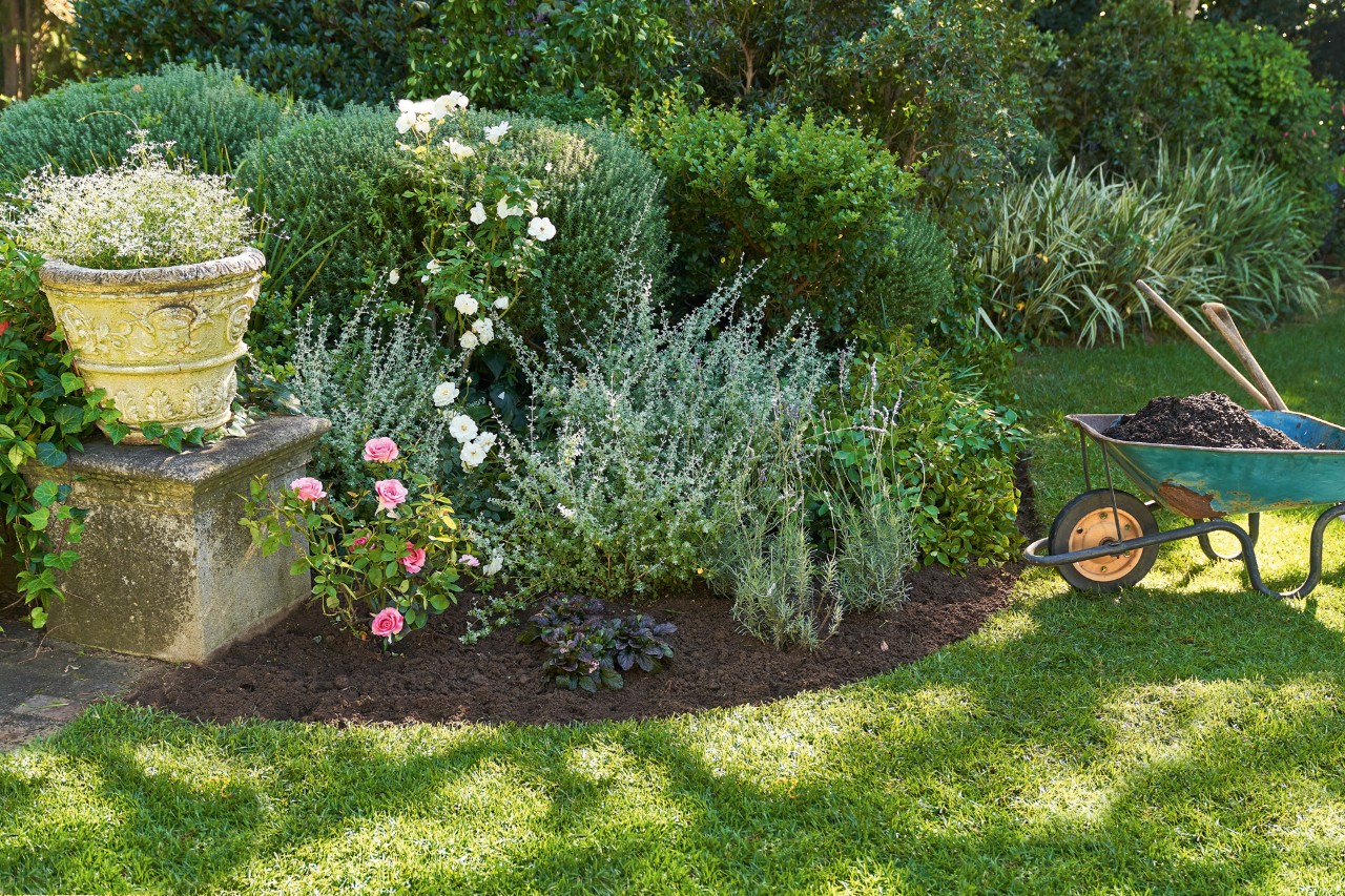 Arriates con plantas de jardín que necesitan poca agua, a su lado una carretilla con tierra y herramientas para jardín