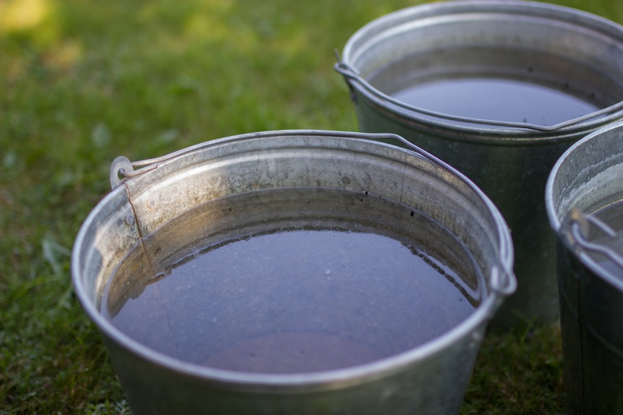 Tres cubos llenos de agua en un prado