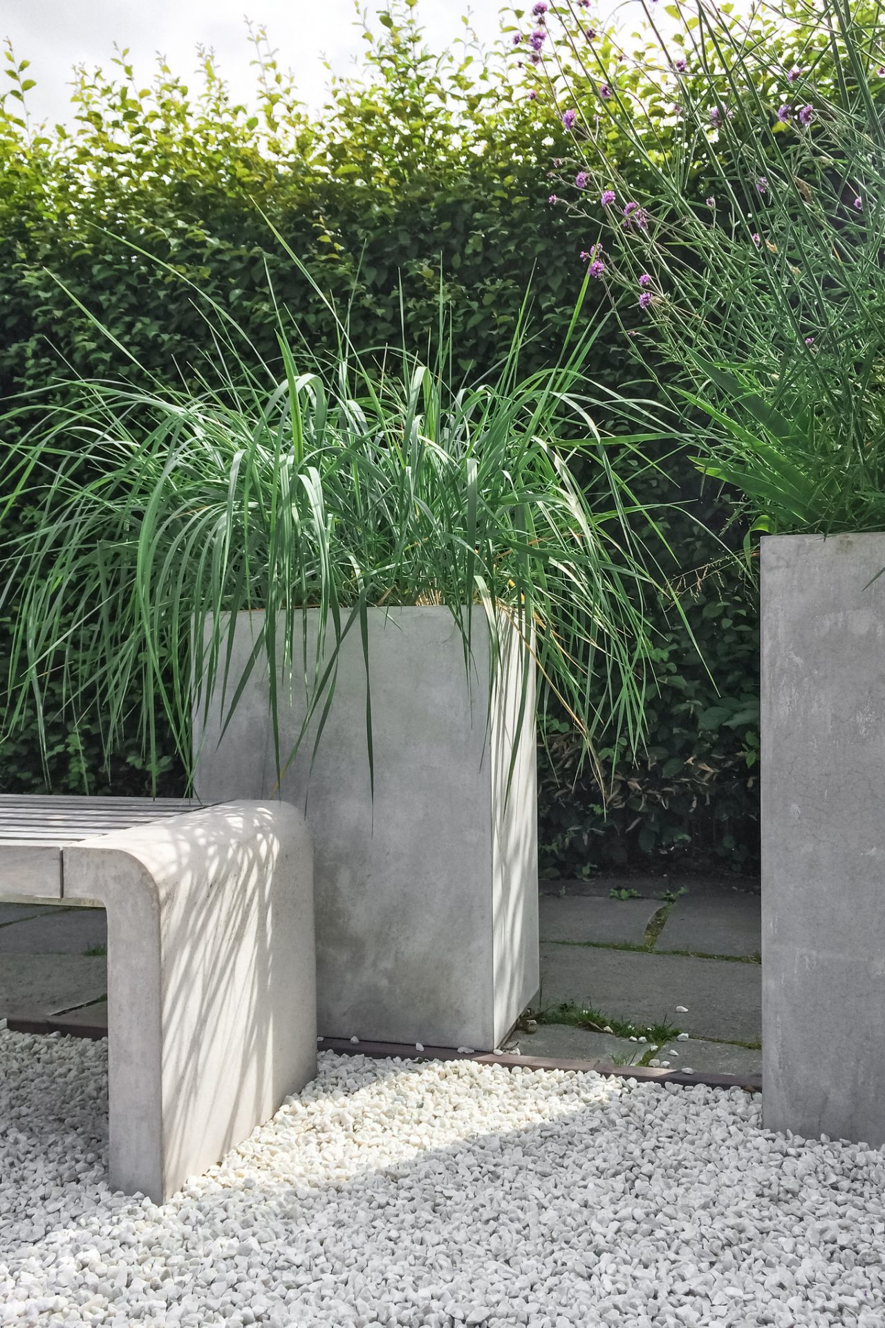 Dos jardineras cuadradas con gramíneas entre un banco y un seto