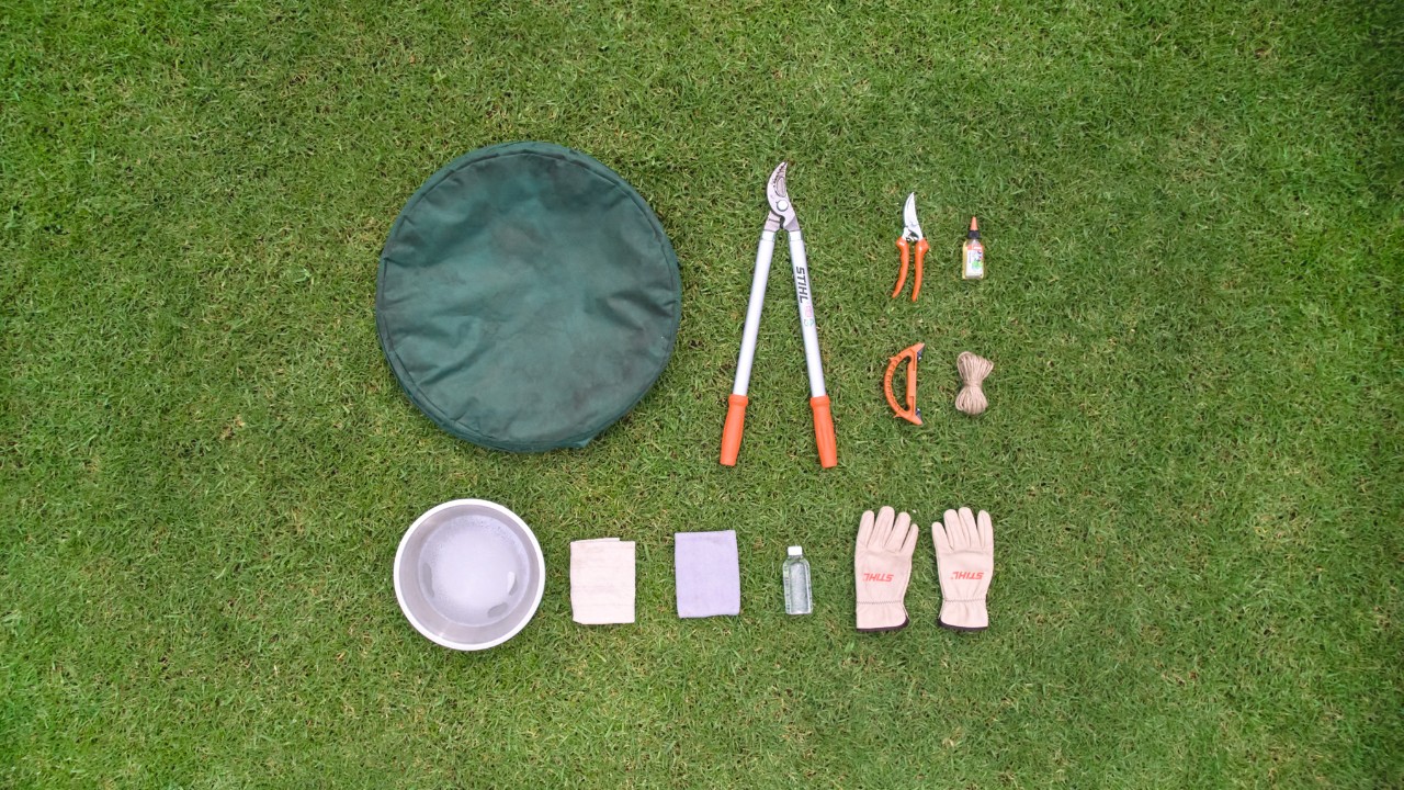 Herramientas y accesorios para podar rosales en un prado, incluidas tijeras de jardinero, tijeras de poda y guantes