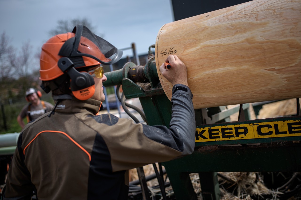 El responsable de la madera de STIHL TIMBERSPORTS®, Bart Jansen, etiqueta los troncos para una competición
