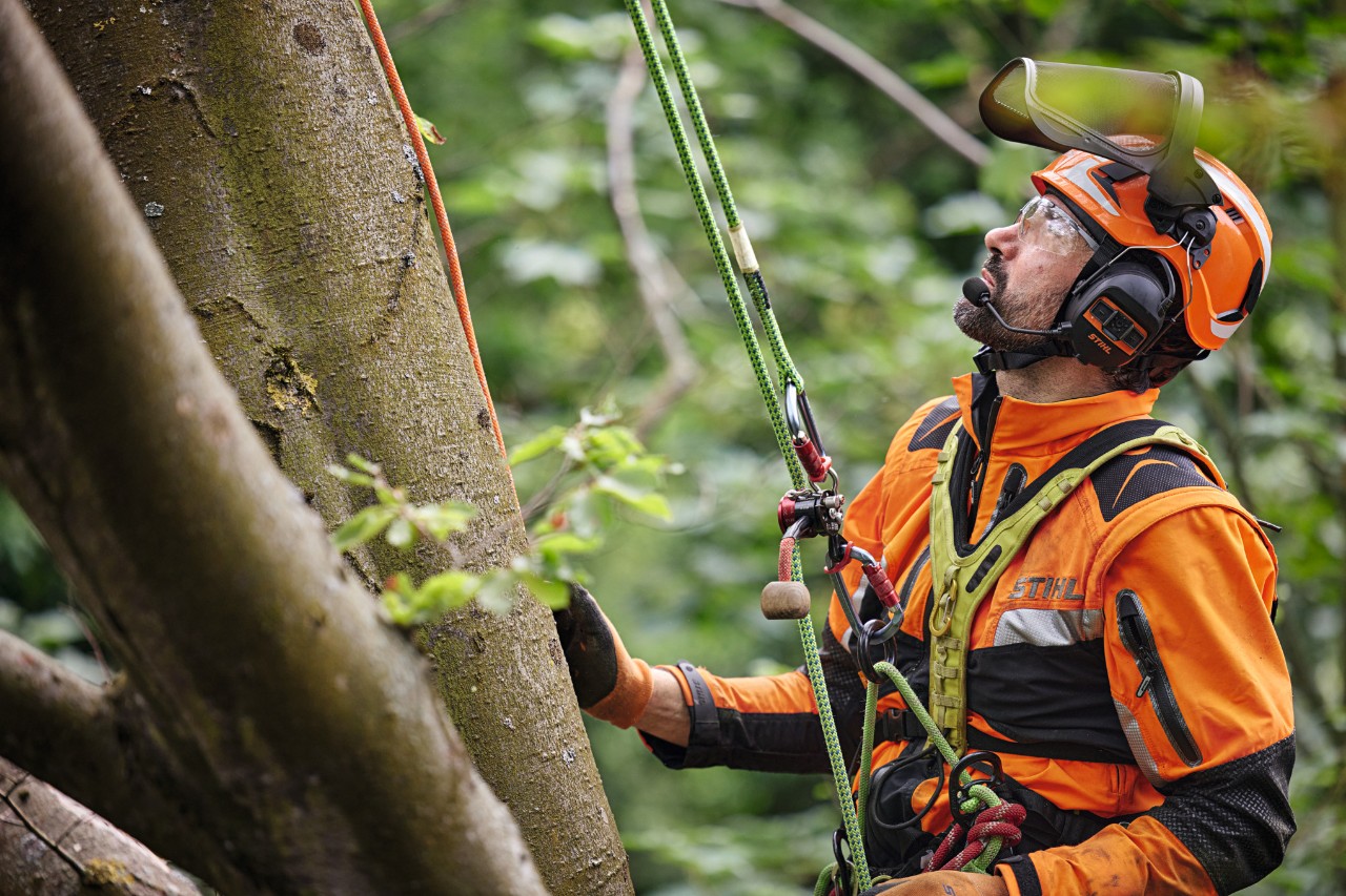 Un profesional del árbol con equipamiento de protección cuelga de una cuerda en un árbol