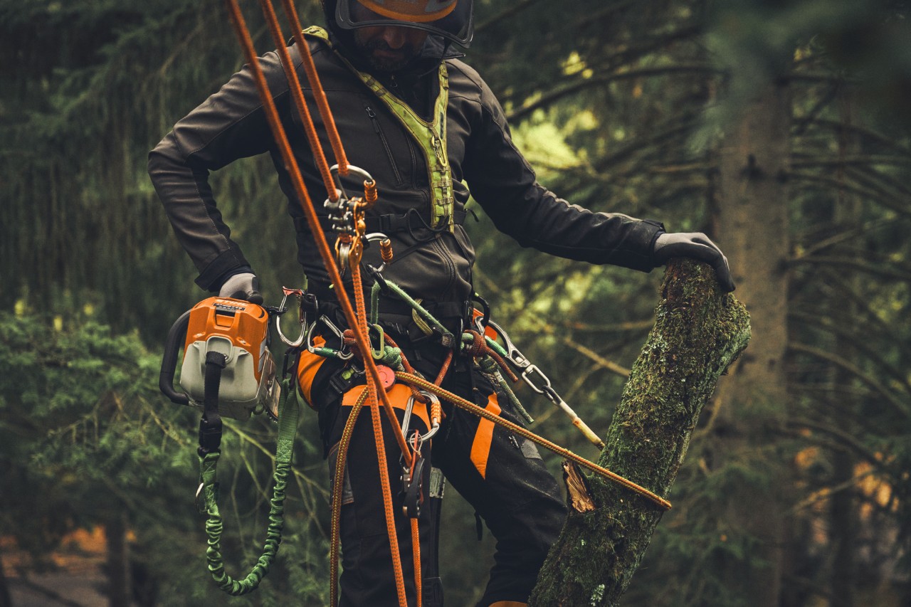 Un hombre de pie en una plataforma elevadora cortando ramas con la motosierra de batería STIHL MSA 190 T