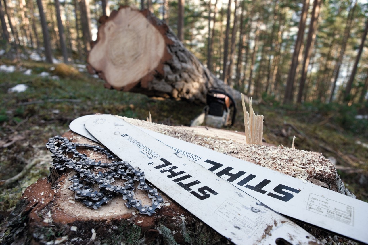 Dos espadas STIHL Rollomatic E sobre un tocón de árbol, junto a ellas cadenas