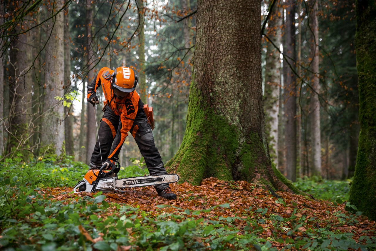 Un hombre con ropa de protección arranca una motosierra de gasolina STIHL MS 500i en el suelo de un bosque de hoja caduca.
