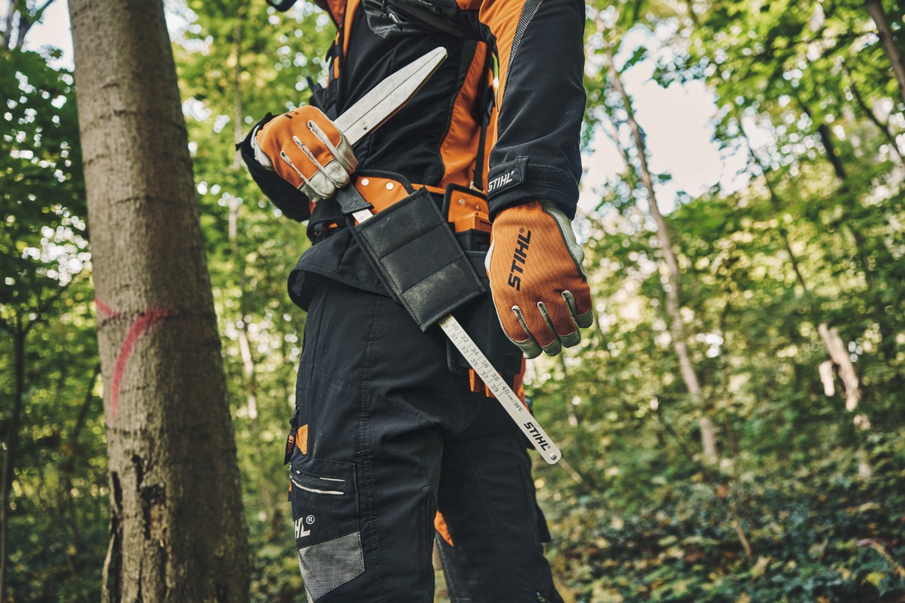 Una persona con equipo de protección y el juego forestal Basic en el bosque