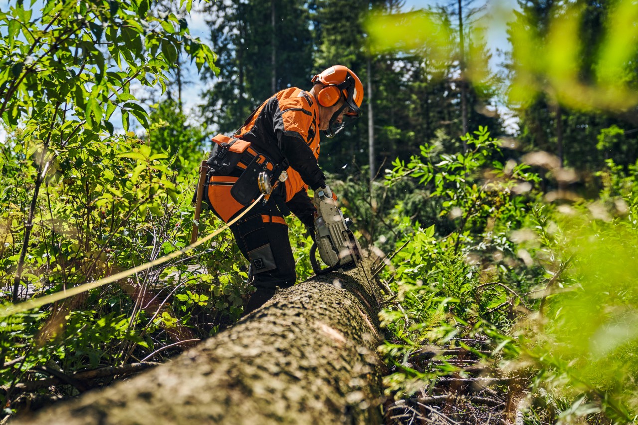 Una persona con equipo de protección y el juego forestal Pro en el bosque. 