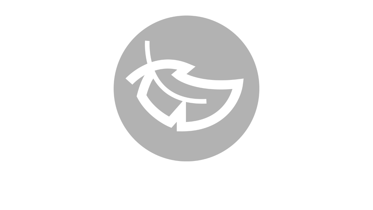 icono ultraligero