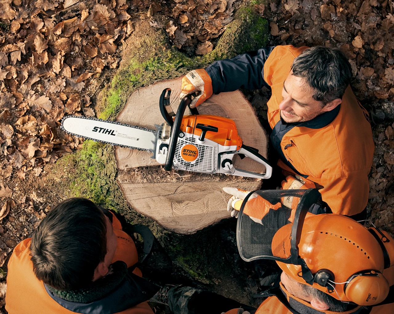 Vista superior de una motosierra de gasolina STIHL MS 261 en un tocón de árbol, con personas que llevan equipos de protección a su alrededor
